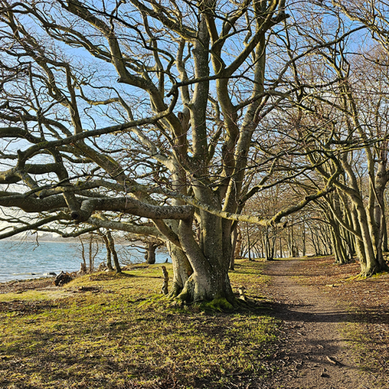Litterær vandring i Faxe Kommune