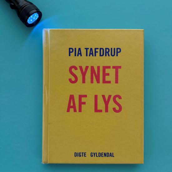 Foto af lommelygter der lyser på bogen "Synet af lys" af Pia Tafdrup