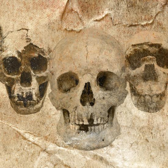 AU Livestream: DNA og fossiler udvider vores stamtræ
