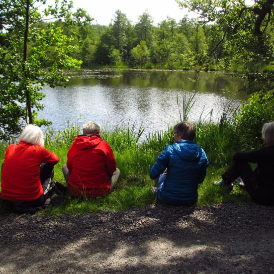 Litterær vandring på naturskønne lokationer i Faxe Kommune