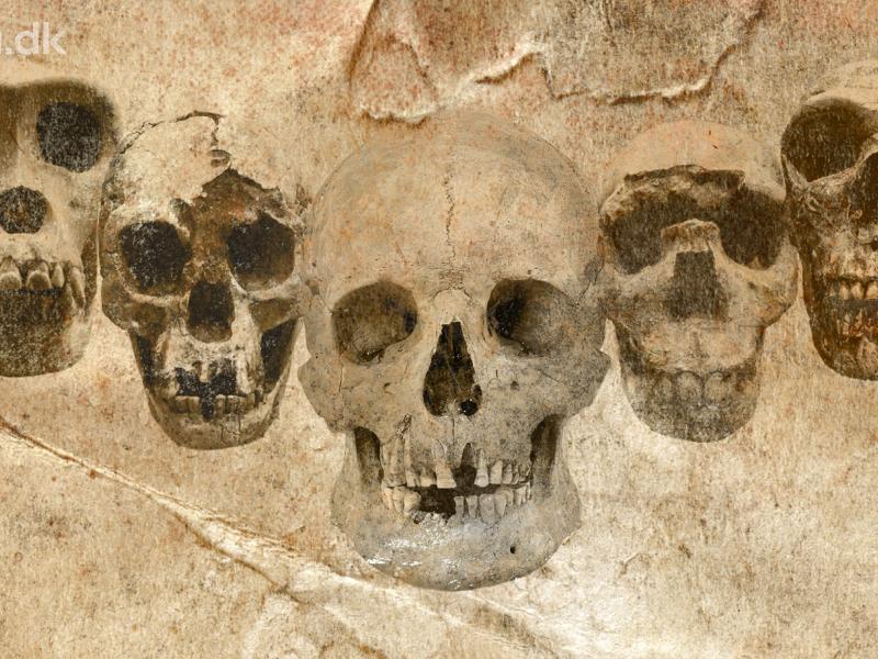 AU Livestream: DNA og fossiler udvider vores stamtræ