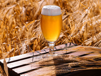 AU Livestream: Videnskaben bag øl