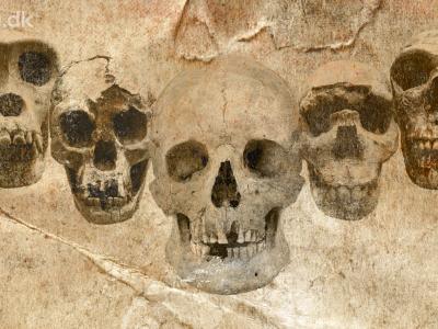 AU Livestream: DNA og fossiler udvider vores stamtræ