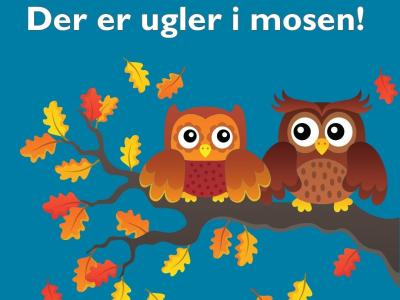 Turkis baggrund med hvid tekst: "Der er ugler i mosen". Illustrationer af to ugler på en gren med efterårsblade.
