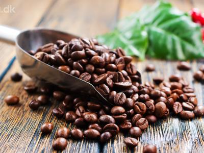 Hør tre forskere fortælle om kaffe – om kaffeplantens biologi, dens dyrkning og bearbejdning til den kaffe vi drikker, om bæredygtig kaffe, om den betydning klimaændringerne vil få for fremtidens kaffe og om sundhedsaspekterne ved at drikke kaffe.
