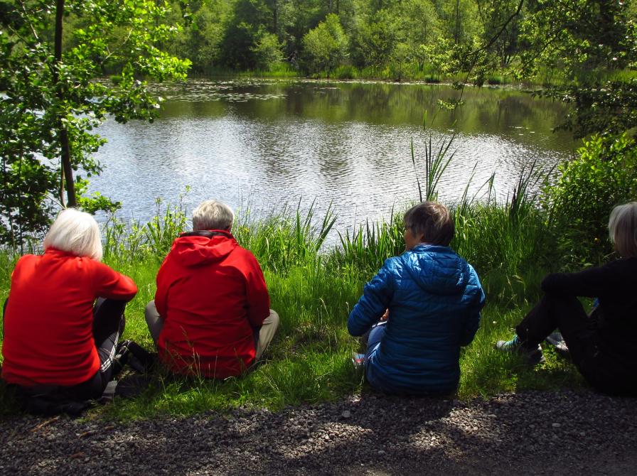 Litterær vandring på naturskønne lokationer i Faxe Kommune